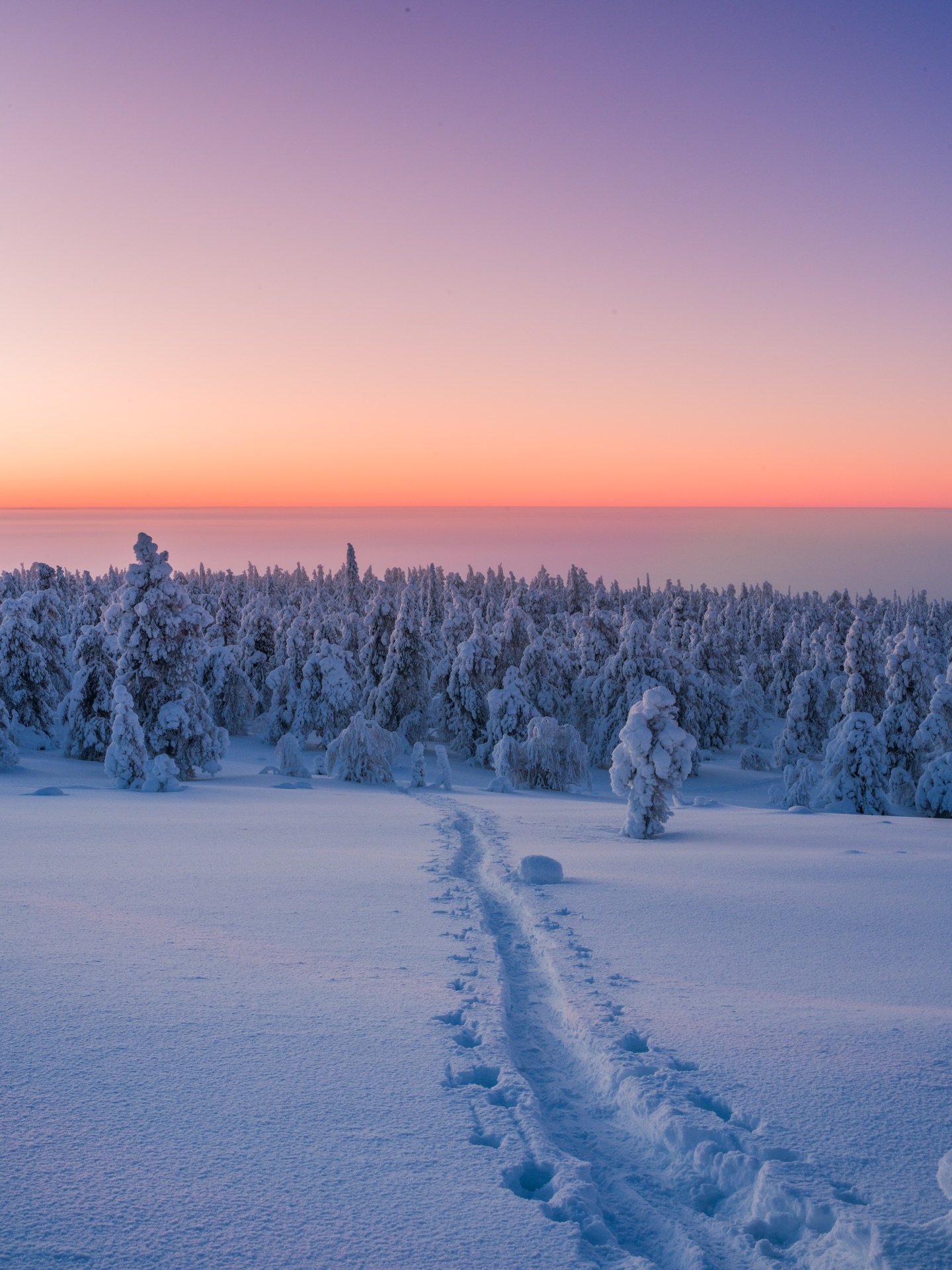 More landscapes from Pyh&auml; 🇫🇮 Lapland ❄️ Such incredible scenery in -30&deg;C cold 🎿📸