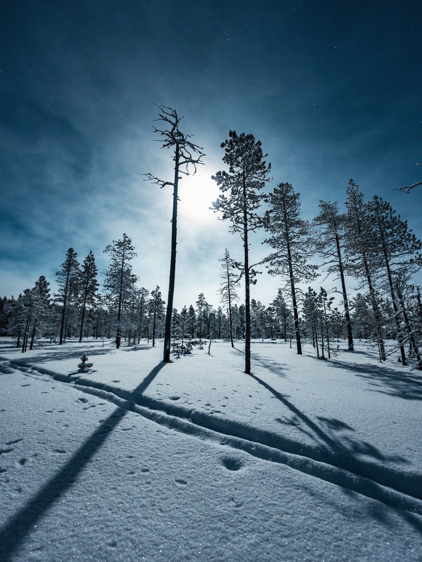 Moonlight and northern lights above Lapland.
This is what Arctic magic looks like. 🌙✨