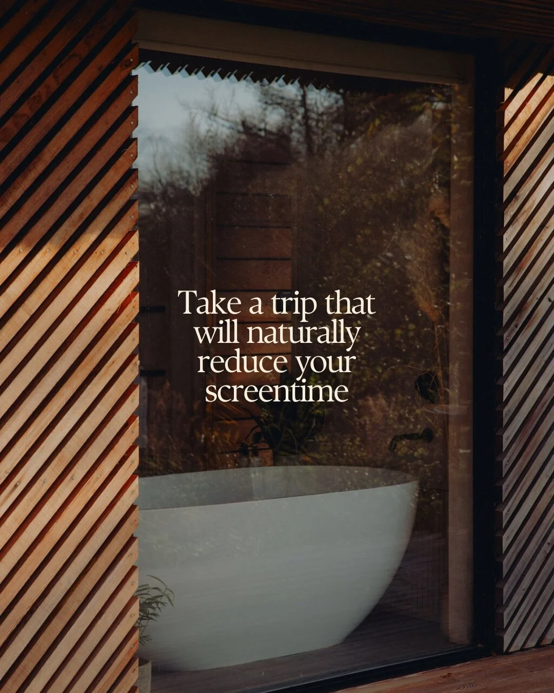 Space to rest, reset, and focus on what actually matters.

Looking to improve your relationship with your phone? Our cabins are the perfect place to start some healthier habits.&nbsp;

Make the most of our limited-time offer, book Little Wren or Wate