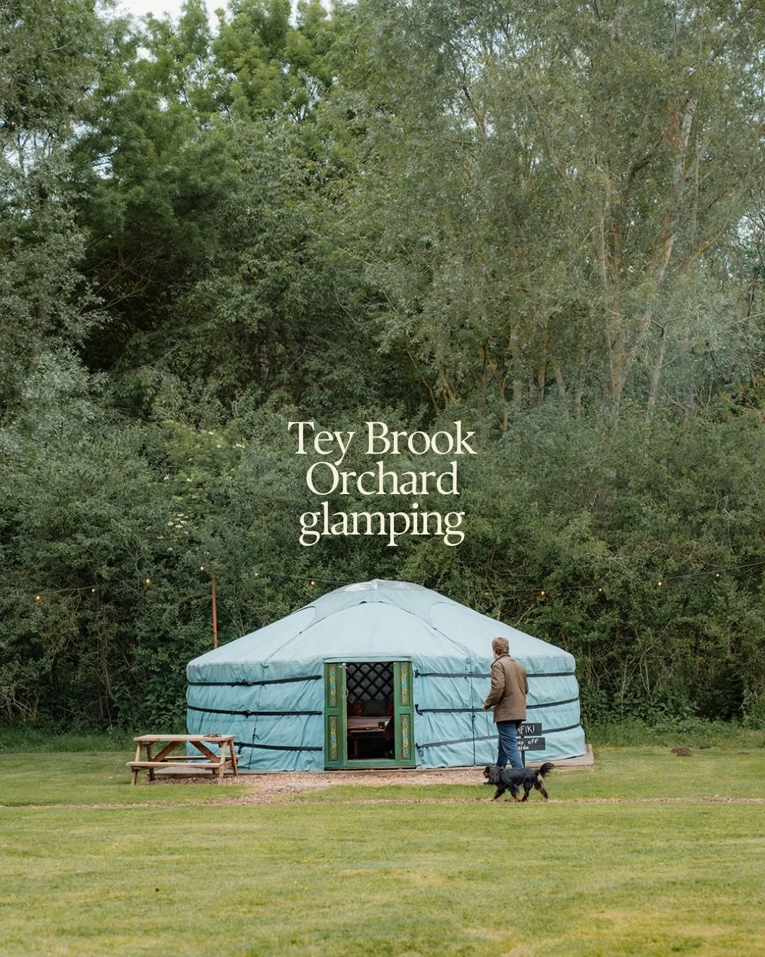 Why attend a festival when you can curate your own? 🌿 From our repurposed grain silo to the hidden bell tents tucked away in the treeline, Tey Brook is a sanctuary designed for slow mornings and late-night stories.

Wander the woodland to the secret