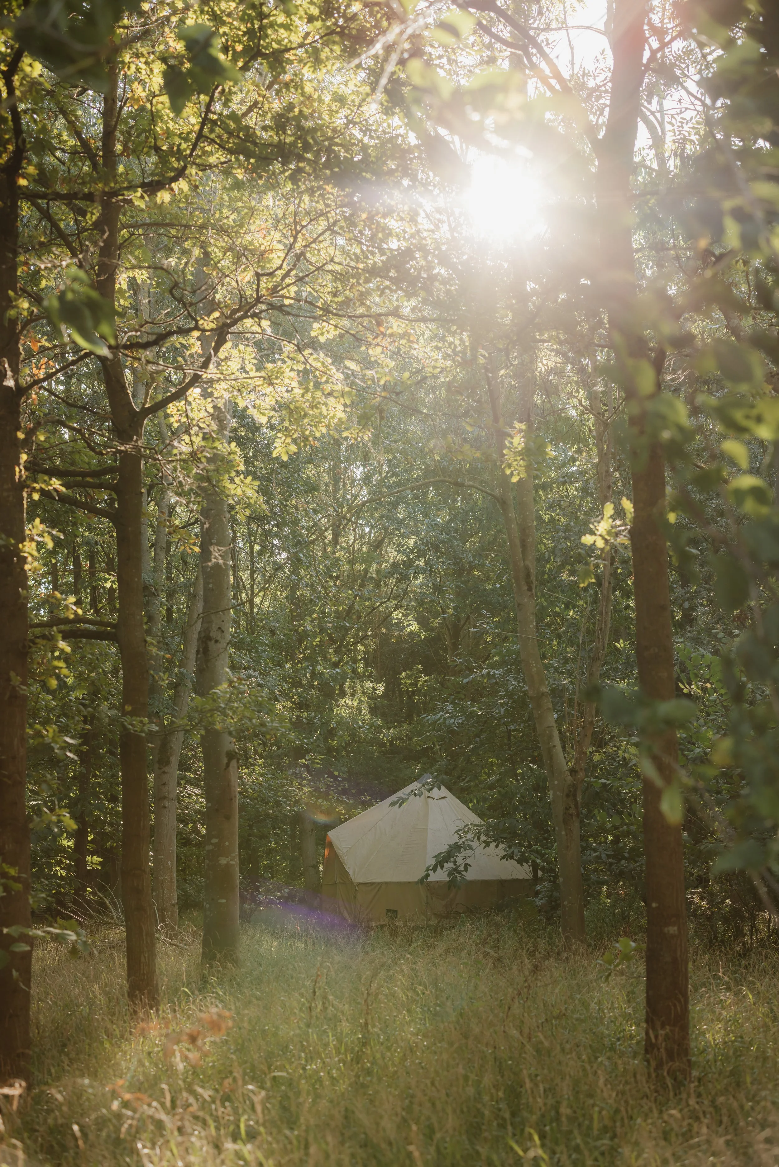 How we run a farm, a venue, and a sustainable escape