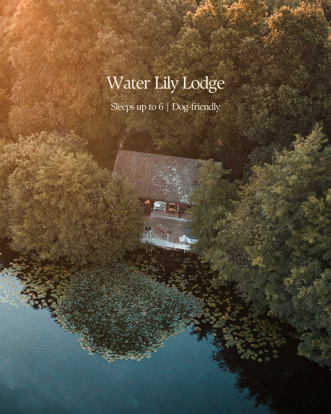 Water Lily Lodge | Sleeps up to 6 | Dog-friendly

Hidden within the woodlands of Chalkney Water Meadows, Water Lily Lodge was originally intended to be a lakeside retreat for our family - but it&rsquo;s calming powers were too good not to share.

Fro