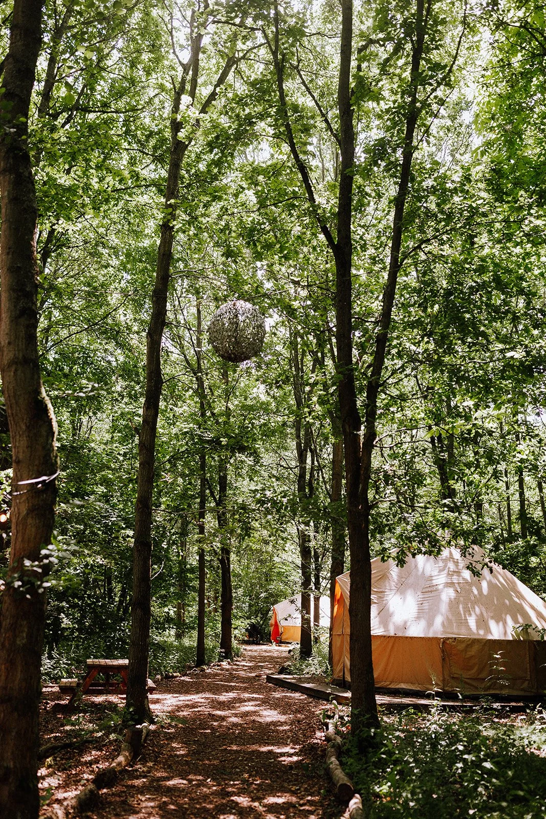 Lauradebourdephotography (6).jpg