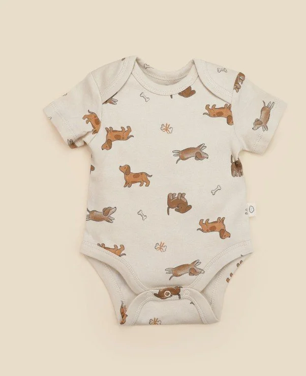 Dsah hound SS Bodysuit.jpg