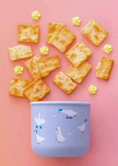 Snack Pot - Silly Goose .jpg