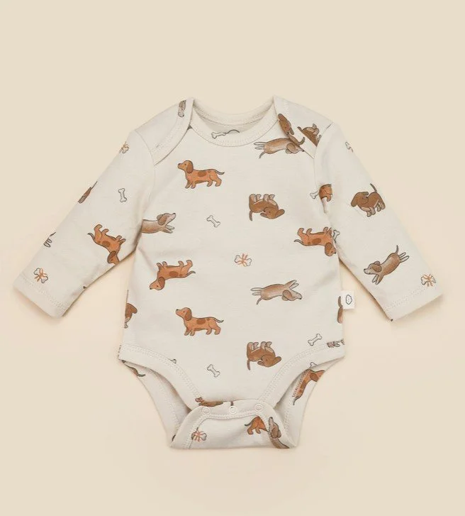 LS Bobysuit - Dashhound .jpg
