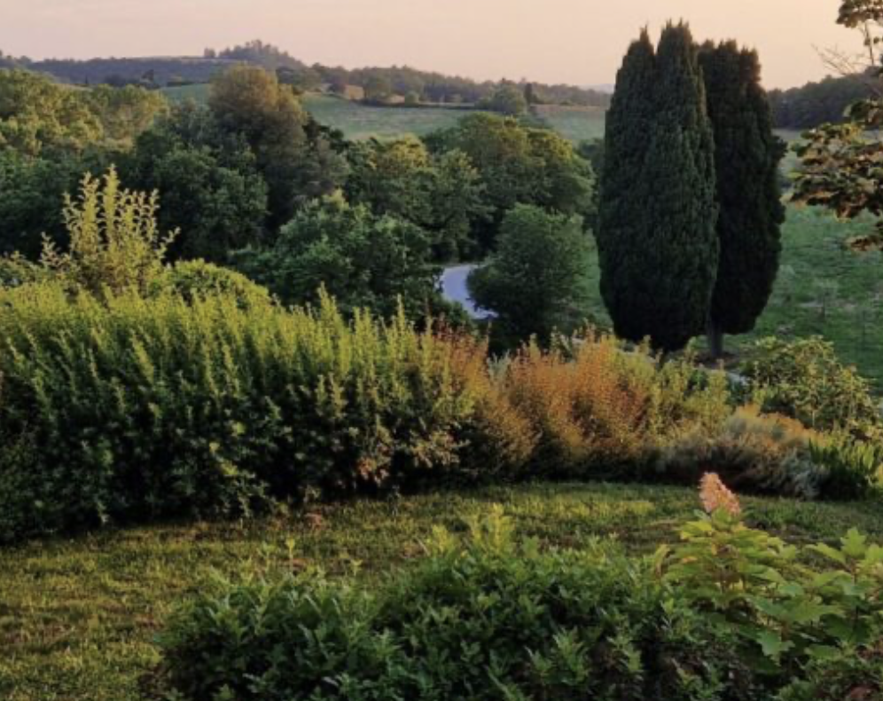 Estate View