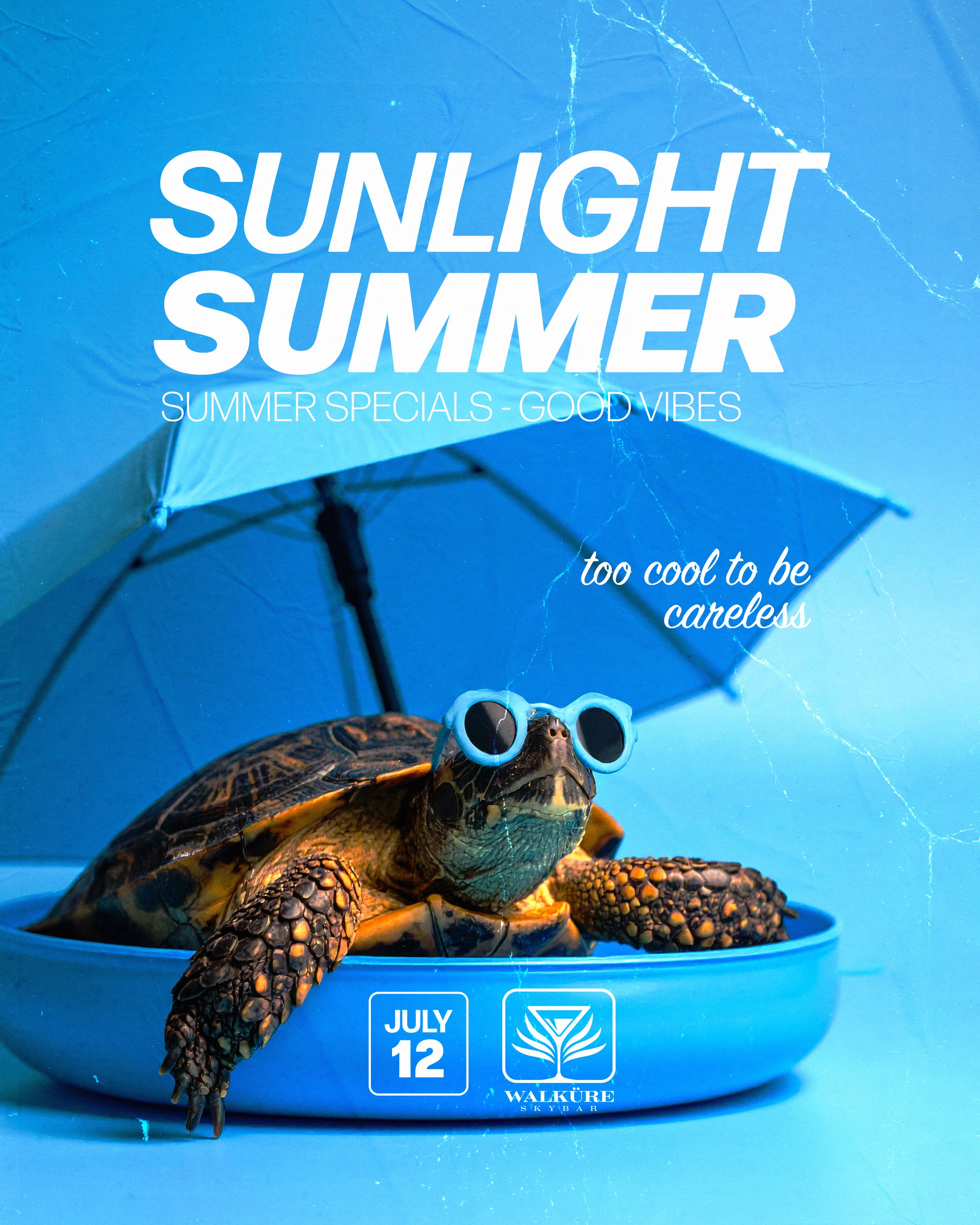 SUNLIGHT SUMMER