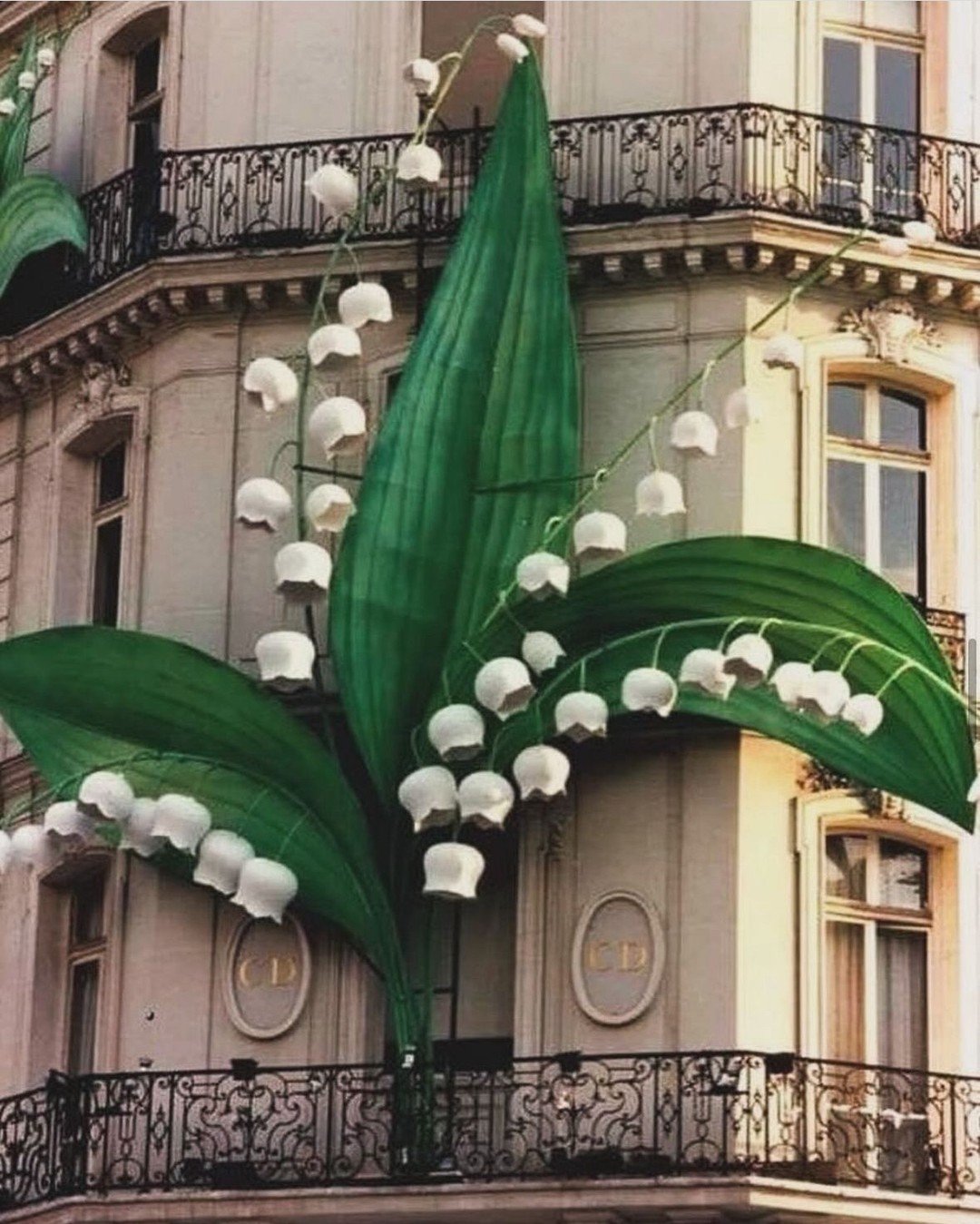 30 Rue Montaigne, Paris at Christian Dior. His favorite flower and good luck charm that became one of the symbols of his house.⁠
⁠
His first haute-couture collection had a dried sprig of lily of the valley sewn into the hem of each of his creations. 