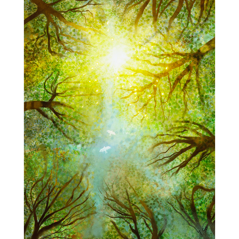 Crown Shyness
