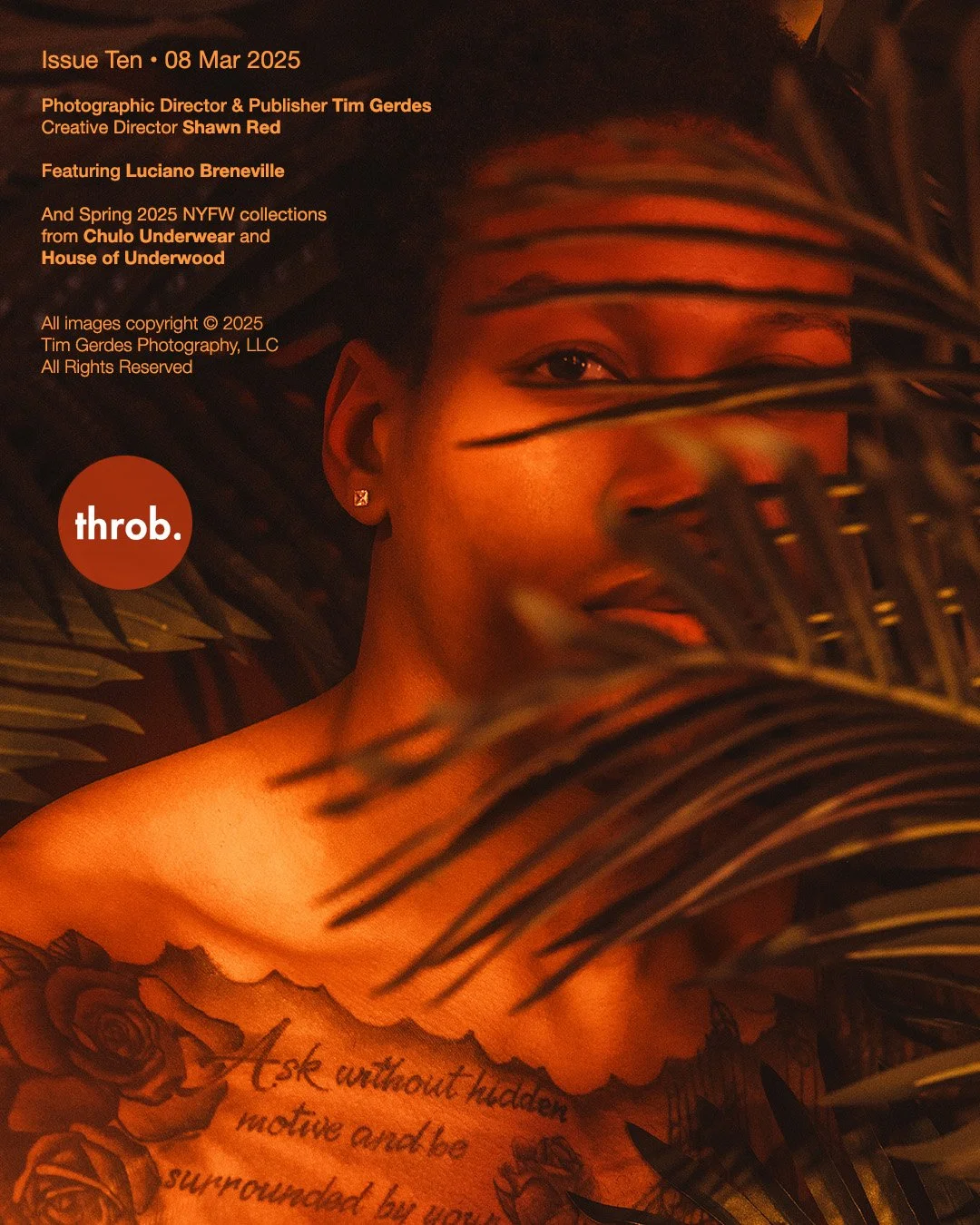 throb issue 10 back.jpg