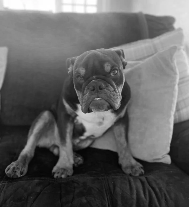 Screenshot 2024-04-18 at 16.58.44.jpg