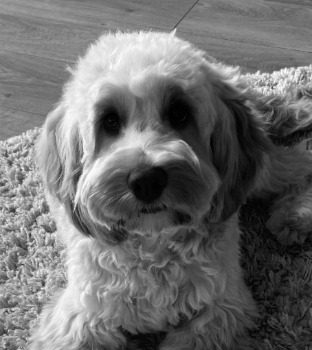 Screenshot 2024-04-18 at 17.02.46.png