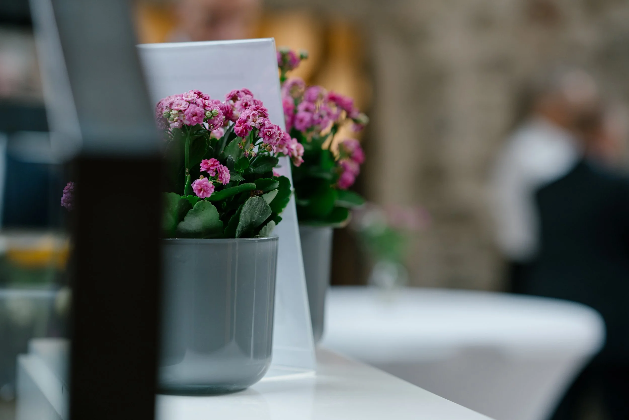 Till Mattmüller - pareto Werkstattgespräch 2025 web-54.jpg