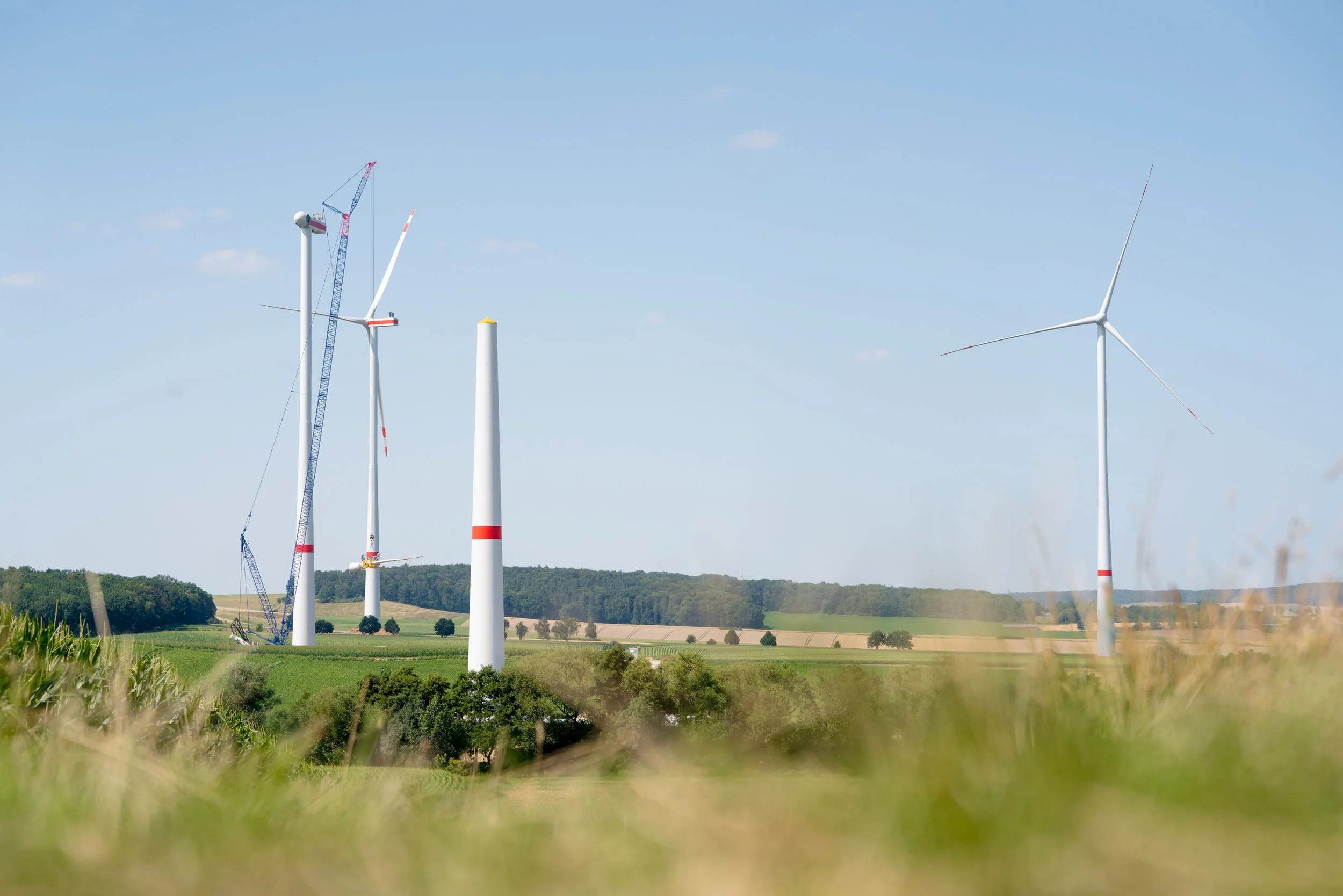 Windpark-5.jpg