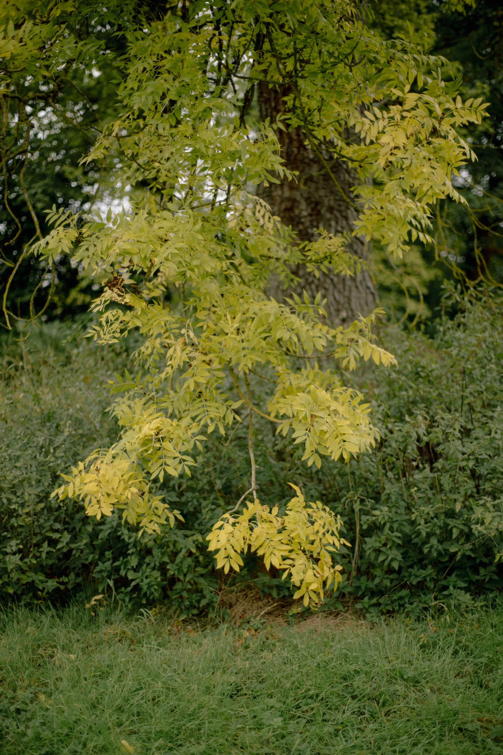 Till Mattmüller - wedding-19.jpg