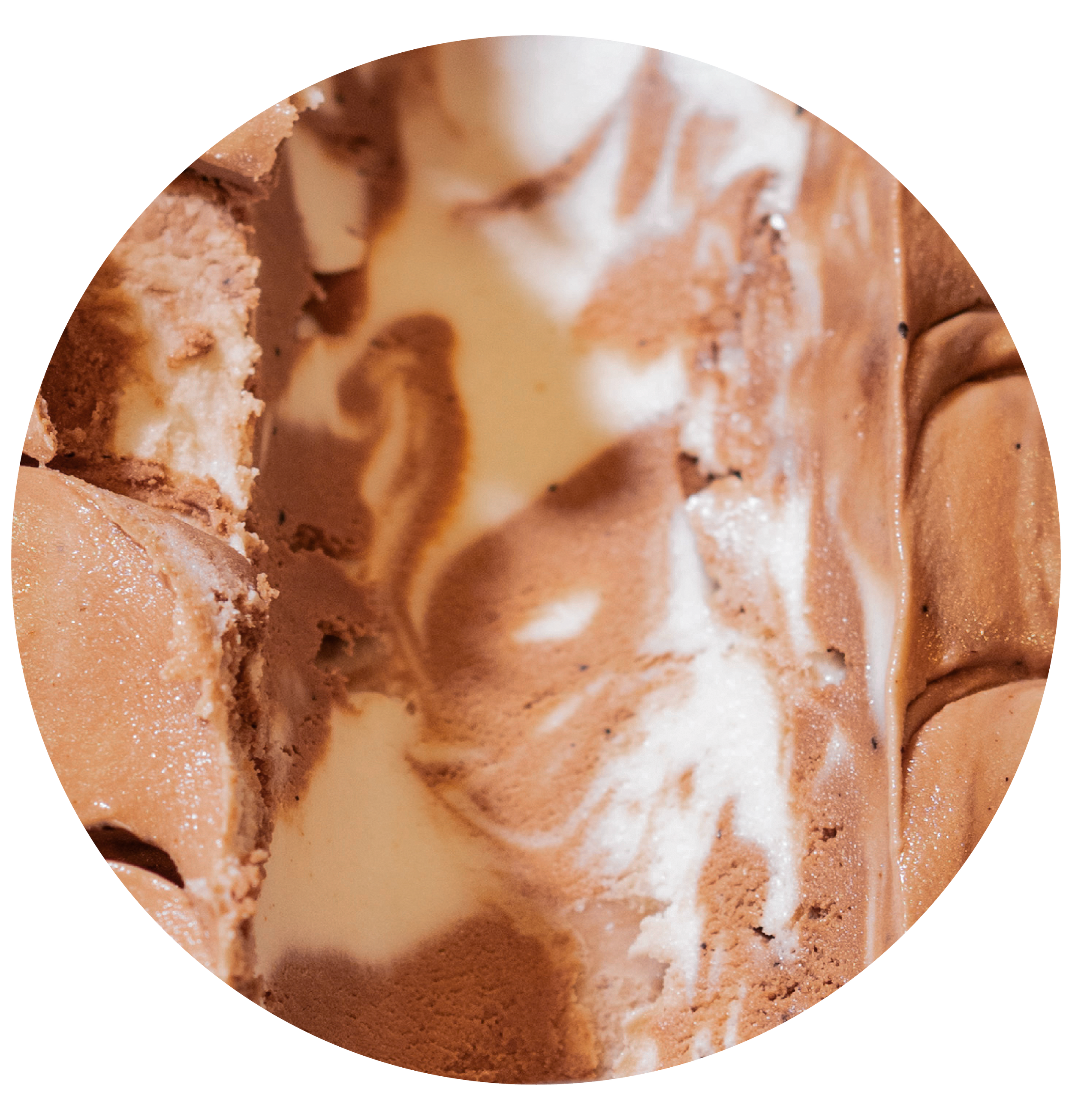 CHOCO VAINILLA VEGANO