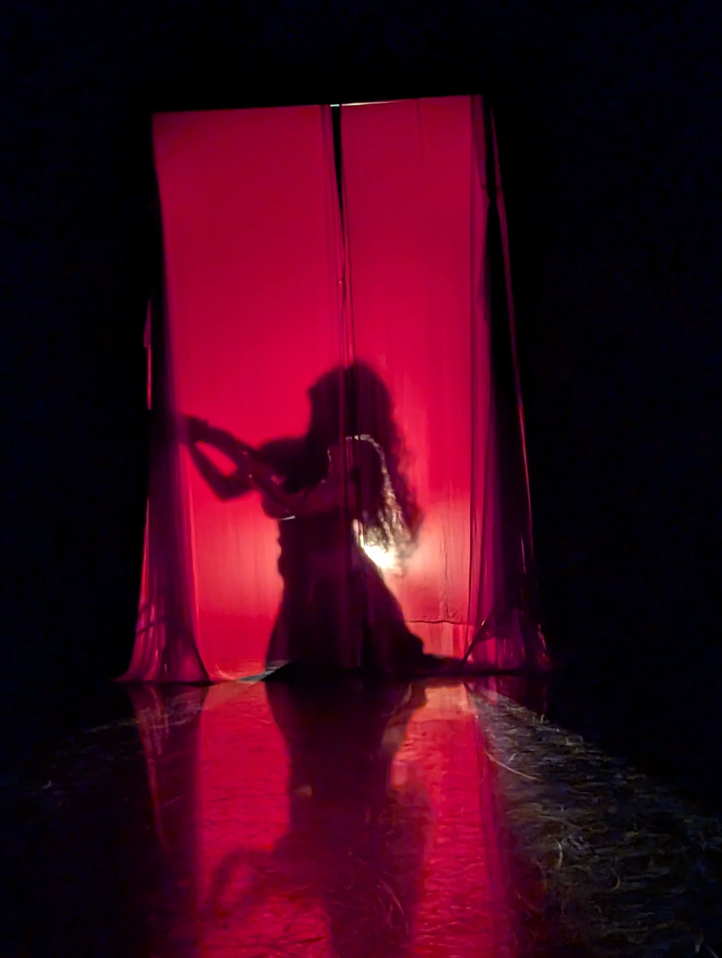 A kneeling person is silhouetted dramatically against a sheer red curtain. They are facing to the right; their long hair flows behind them and their hands are outstretched, but their features are not visible.