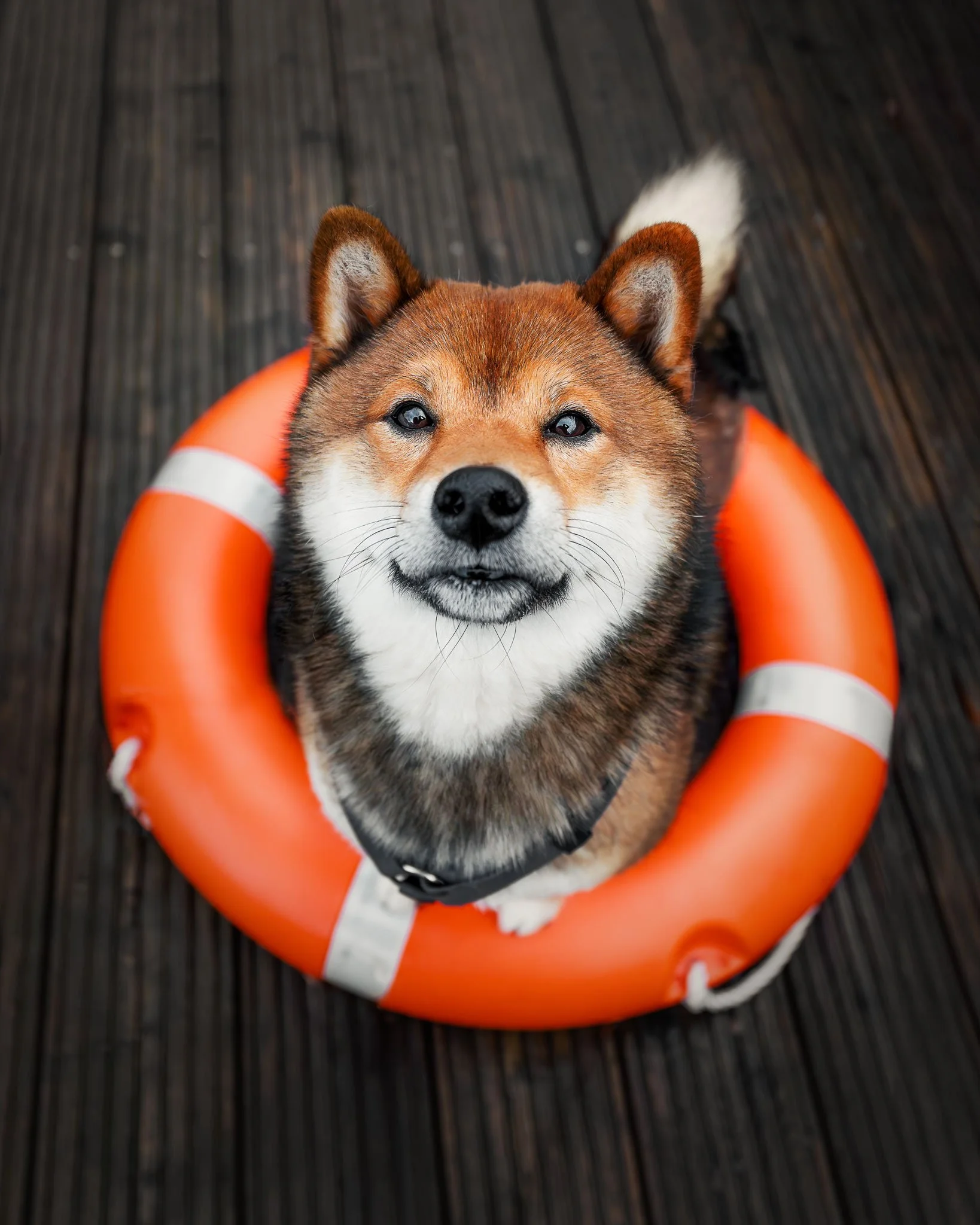 Safety first!