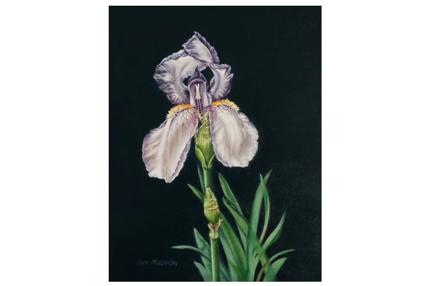 storebaseBeaute de Lavande.jpg