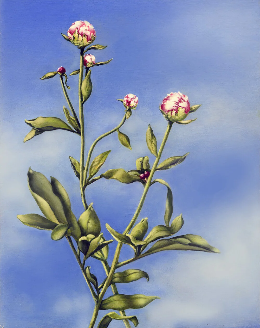 Innocence Lynn Mocarski copy.jpg