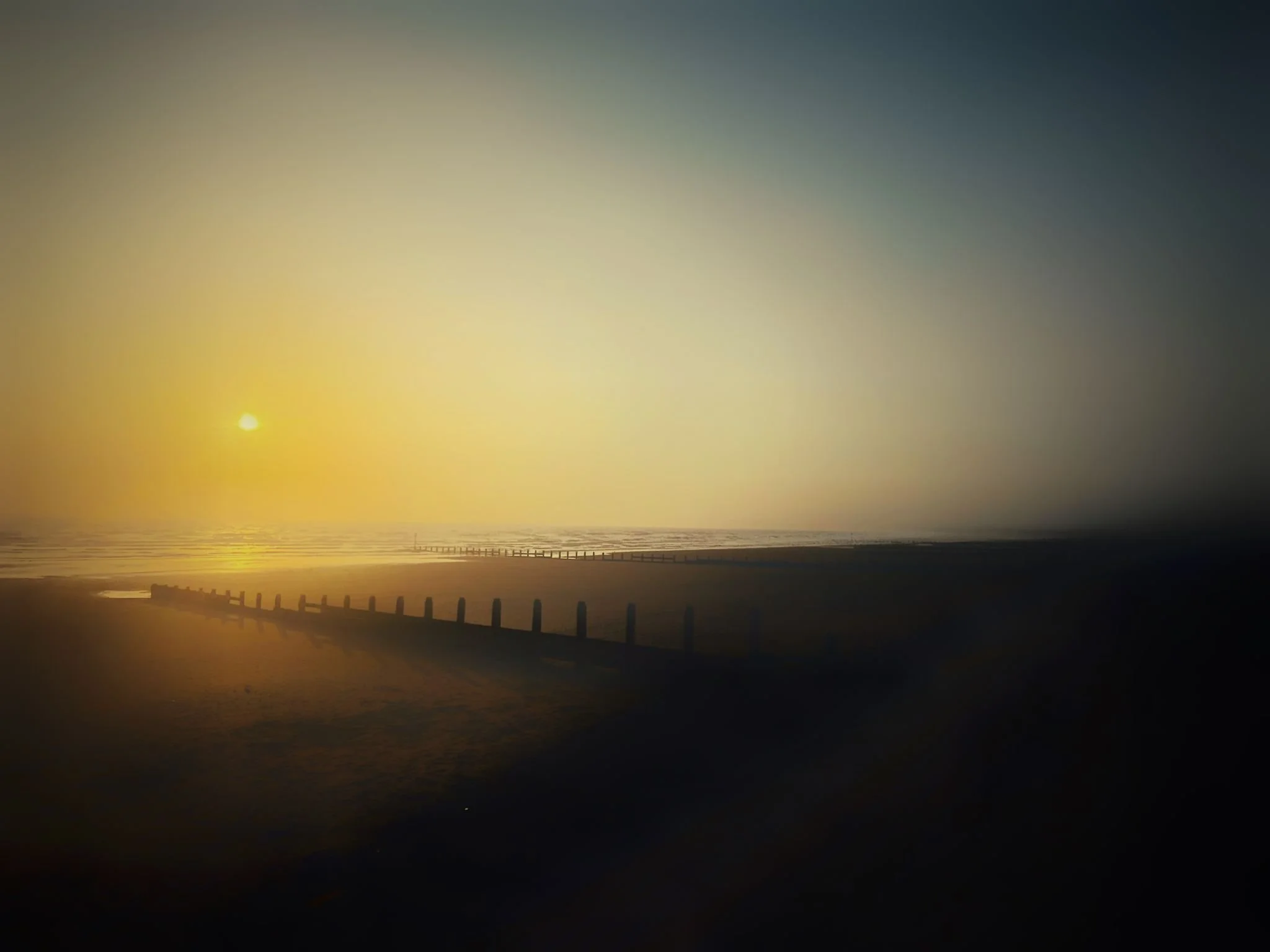 778a8387-7d14-4540-a500-b8b036d84dd2 2.JPG