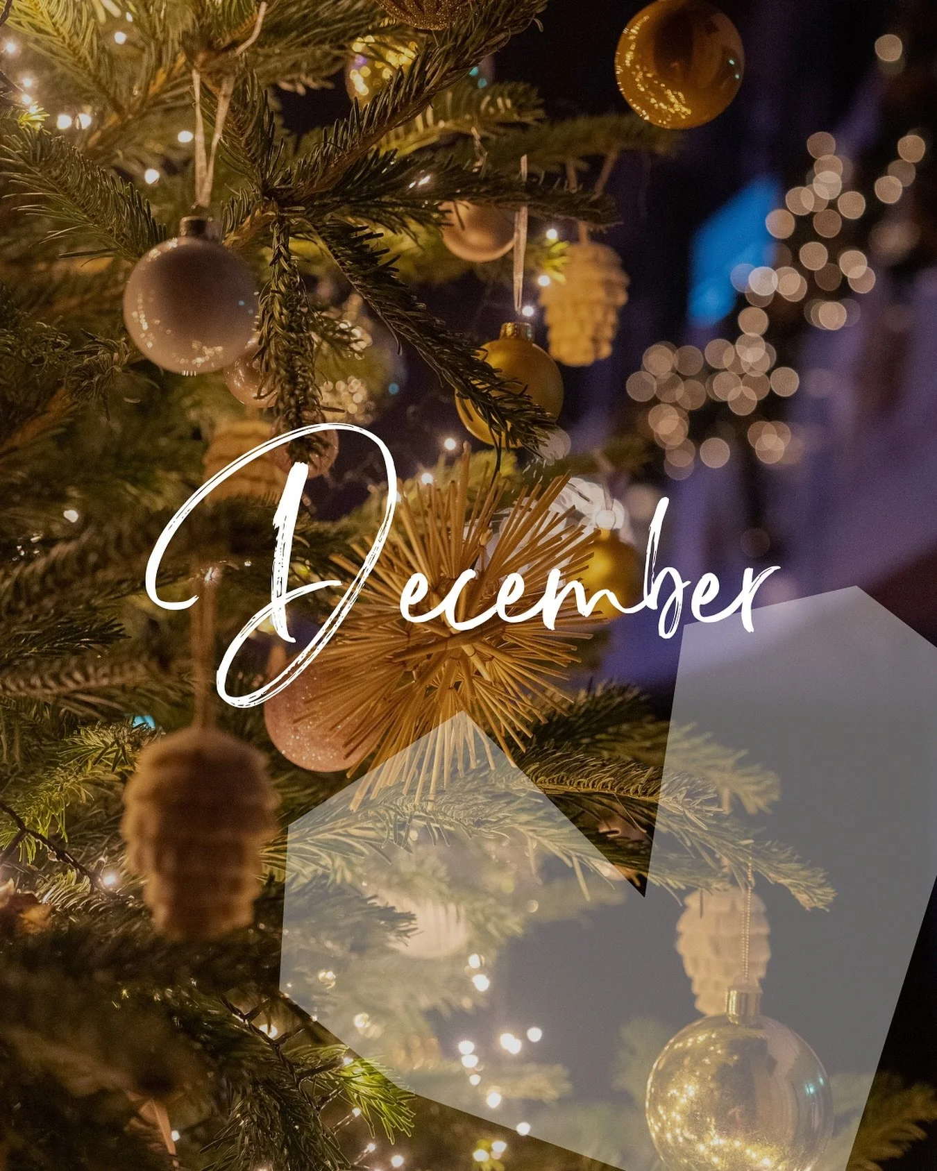 Mooie gesprekken deze weken, met name over &ldquo;balans hervinden, rust inbouwen&rdquo;. 

Donkere dagen voor kerst, juist nu een passende vraag: wat brengt er licht in jou leven? Wie schijnen licht in jouw leven? Waar kan je het meer samen doen, ge