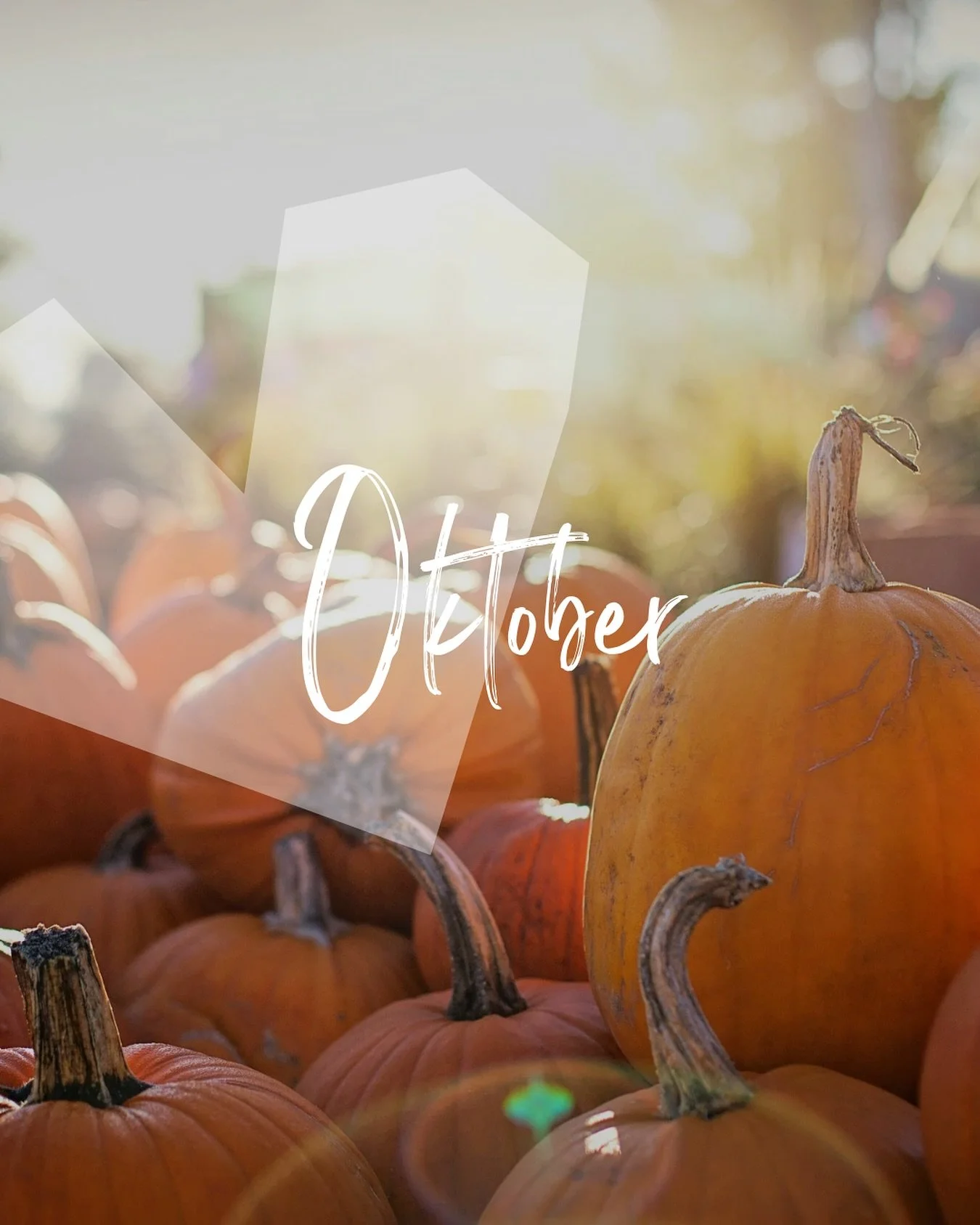 Oktober is door de helft. Ik halveerde laatst een pompoen en vond het hard werken! 😁 Wel hele lekkere soep kunnen brouwen&hellip; Dat smaakt extra goed, als je het werk er eerst in alle eenvoud voor doet. Hoe gaat jouw eerste helft oktober? Wat ga j