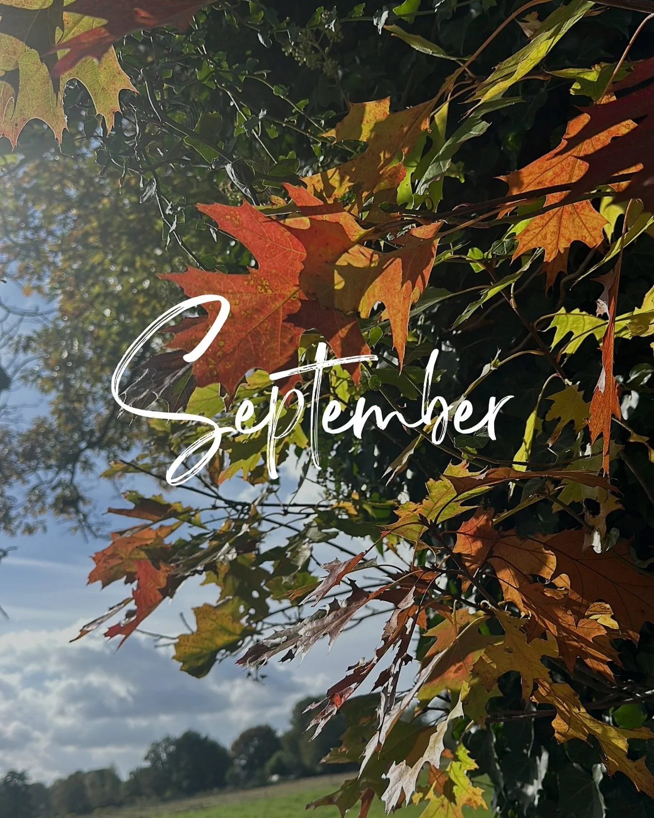 Het thema voor de volgende groene ochtend op 26 september is &ldquo;Toevertrouwen&rdquo;. Verandering welkom kunnen heten is een kunst. 

Het overgaan van seizoen naar seizoen, terwijl de wereld doordraait en er veel in en om je heen gebeurt dat vraa