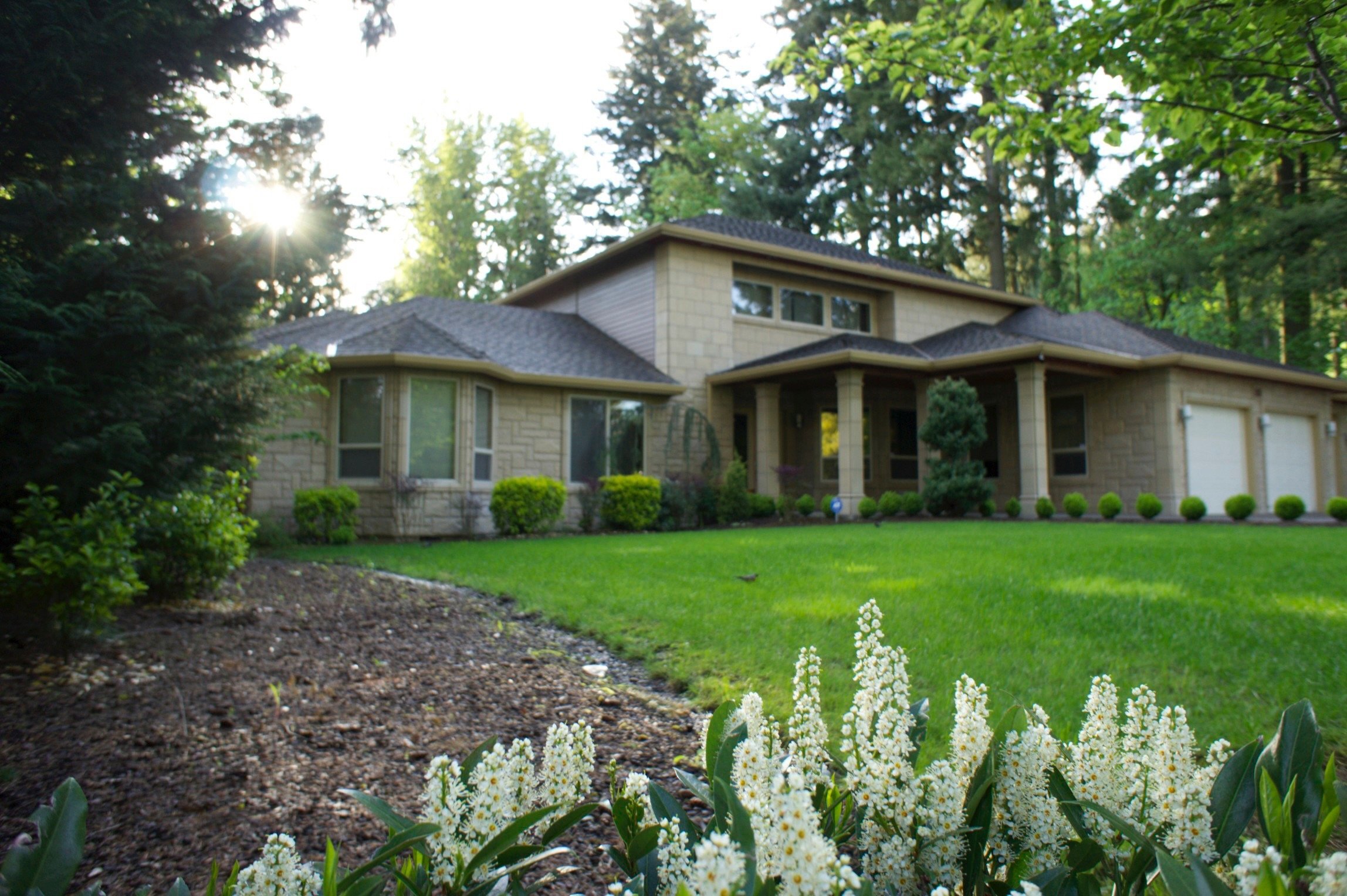 Suburban house with a landscaped garden, green lawn, and surrounding trees.