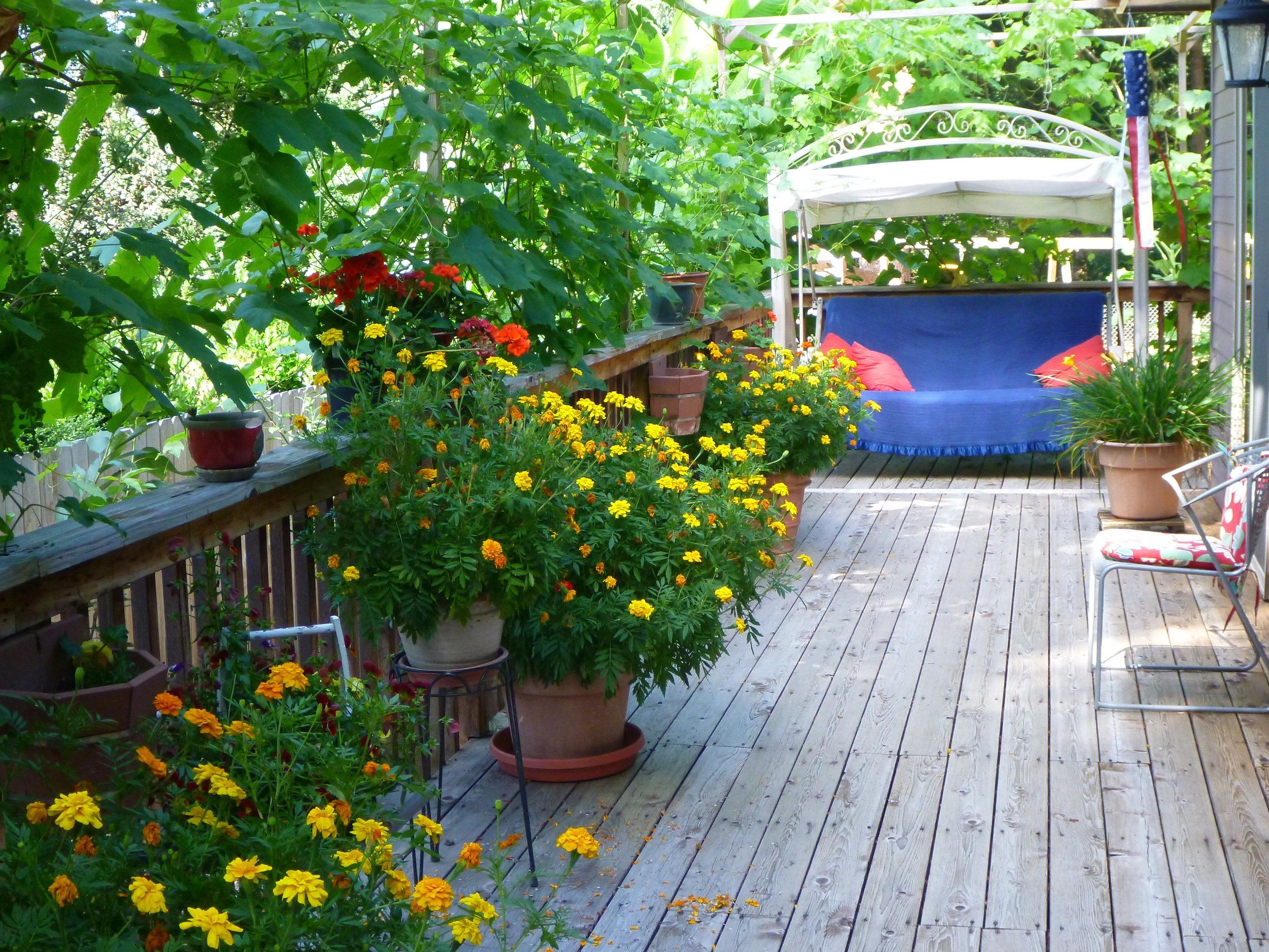 Wooden deck with potted flowers and plants, featuring a blue cushioned swing with red pillows under a canopy, and a metal chair with a floral cushion, surrounded by lush greenery.