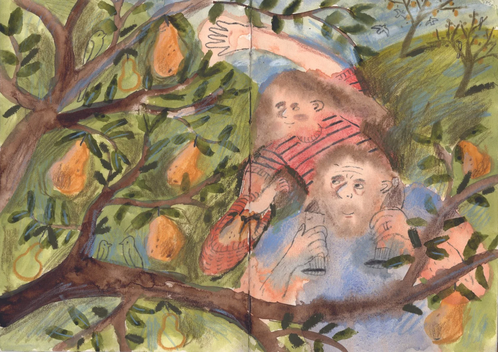 260824_pears.jpg