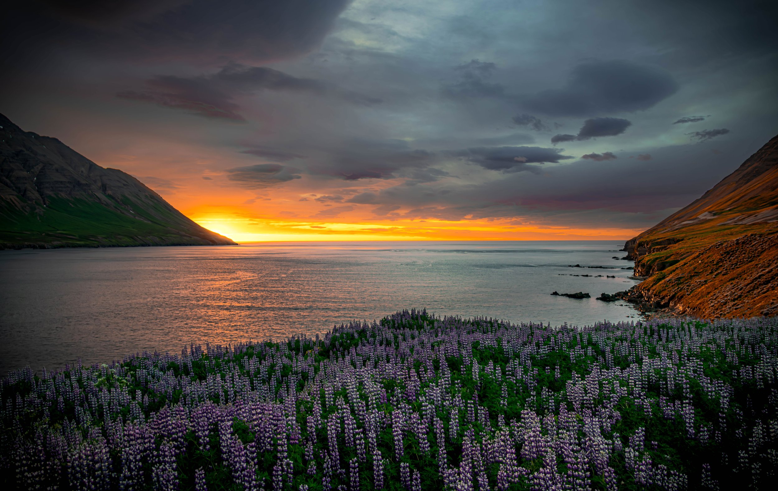 olafs-mid-sun-2-website.jpg