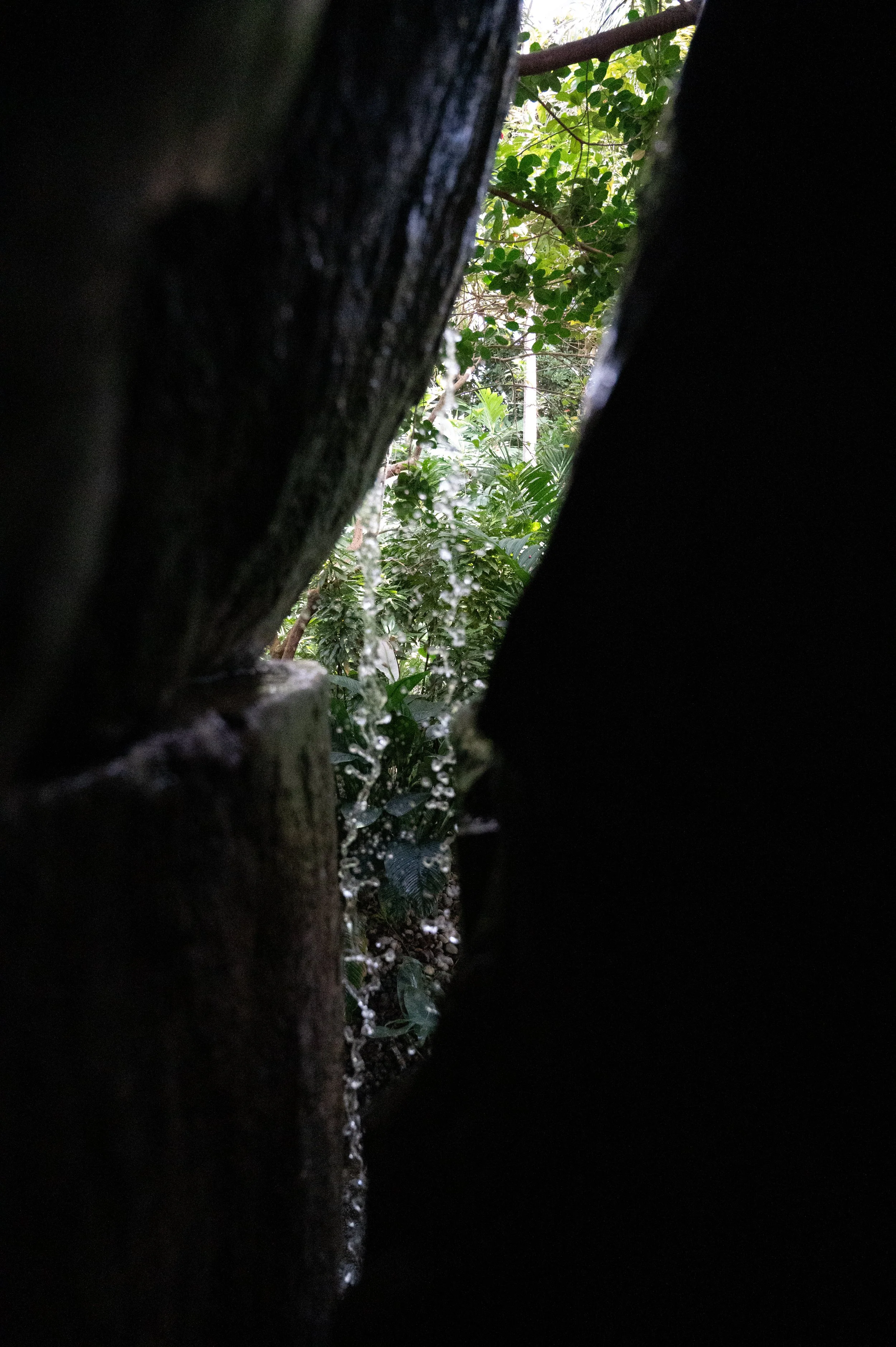 IMG_3200.jpeg