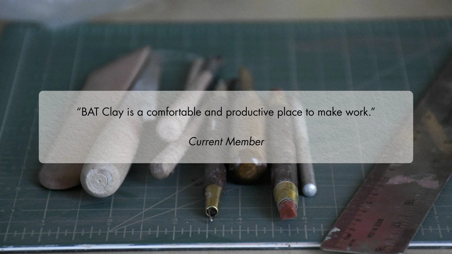 BAT Testimonials_1_3.jpg