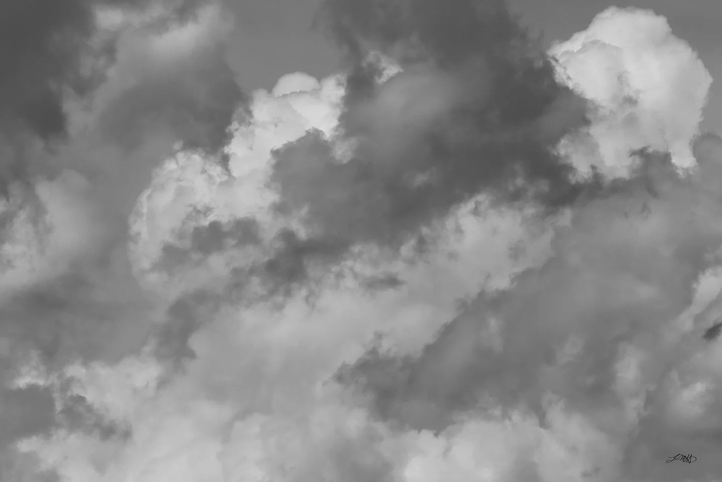 Cloud Cover II © photograph by L.M.H.
