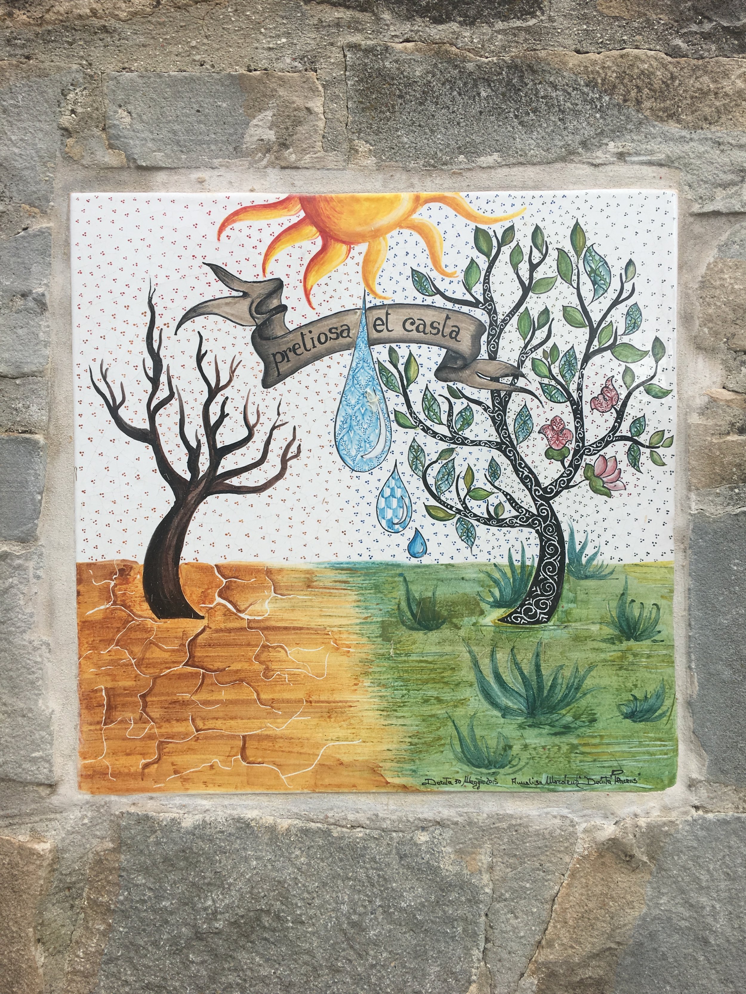 The Elements & The Seasons