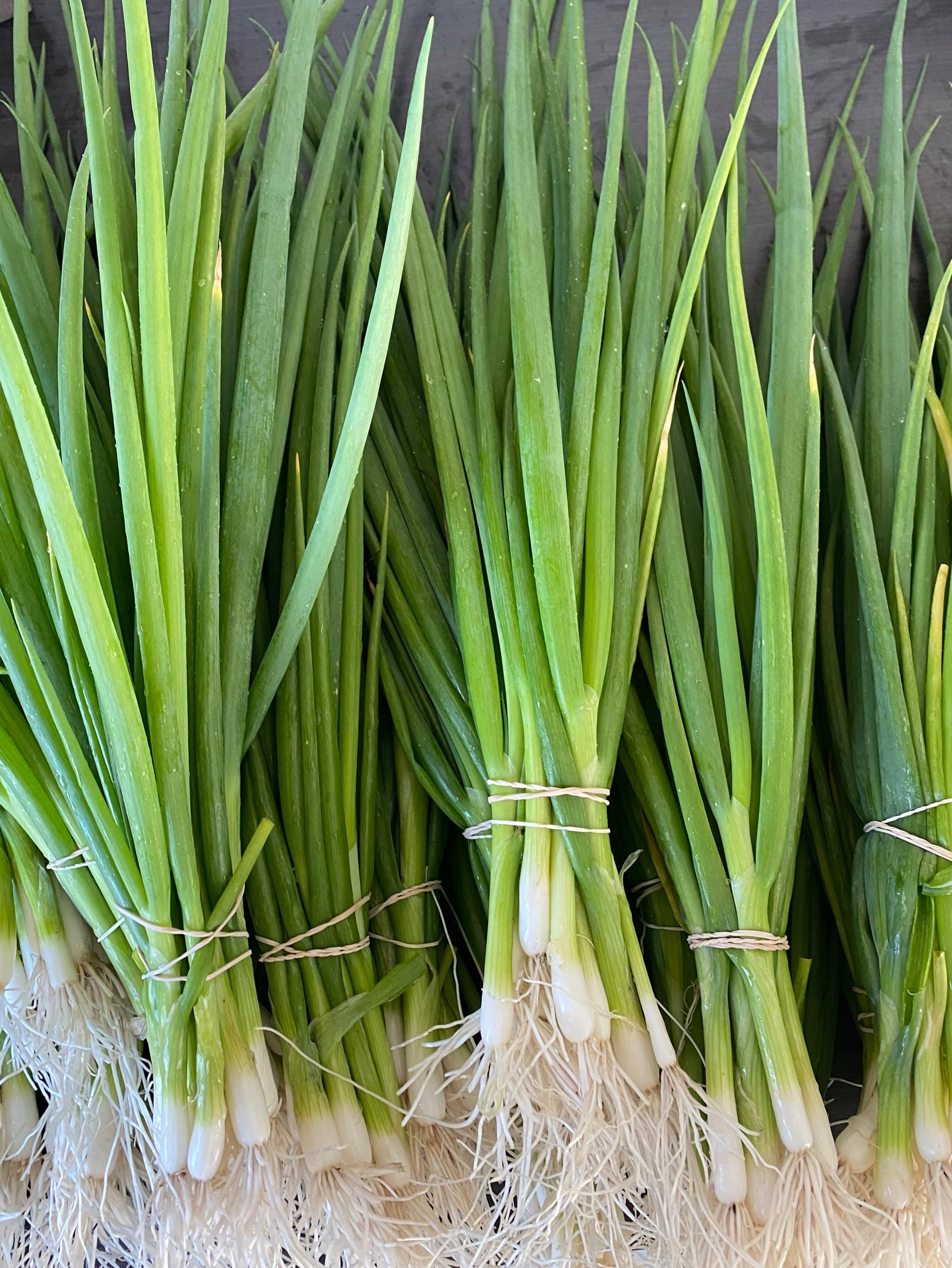 Scallions