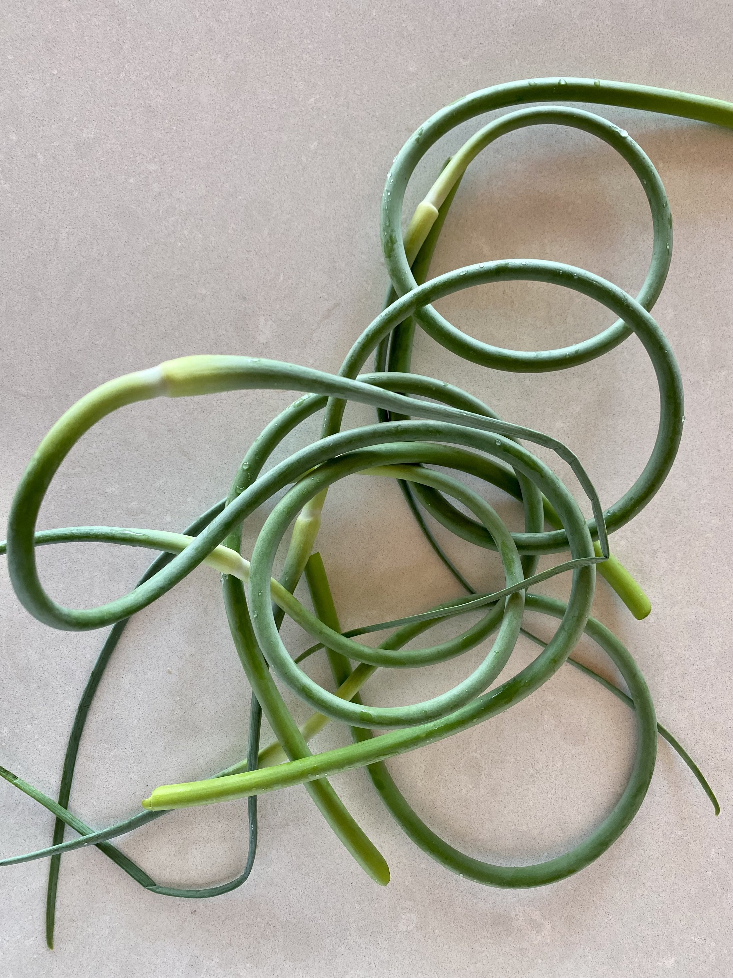 Garlic Scapes