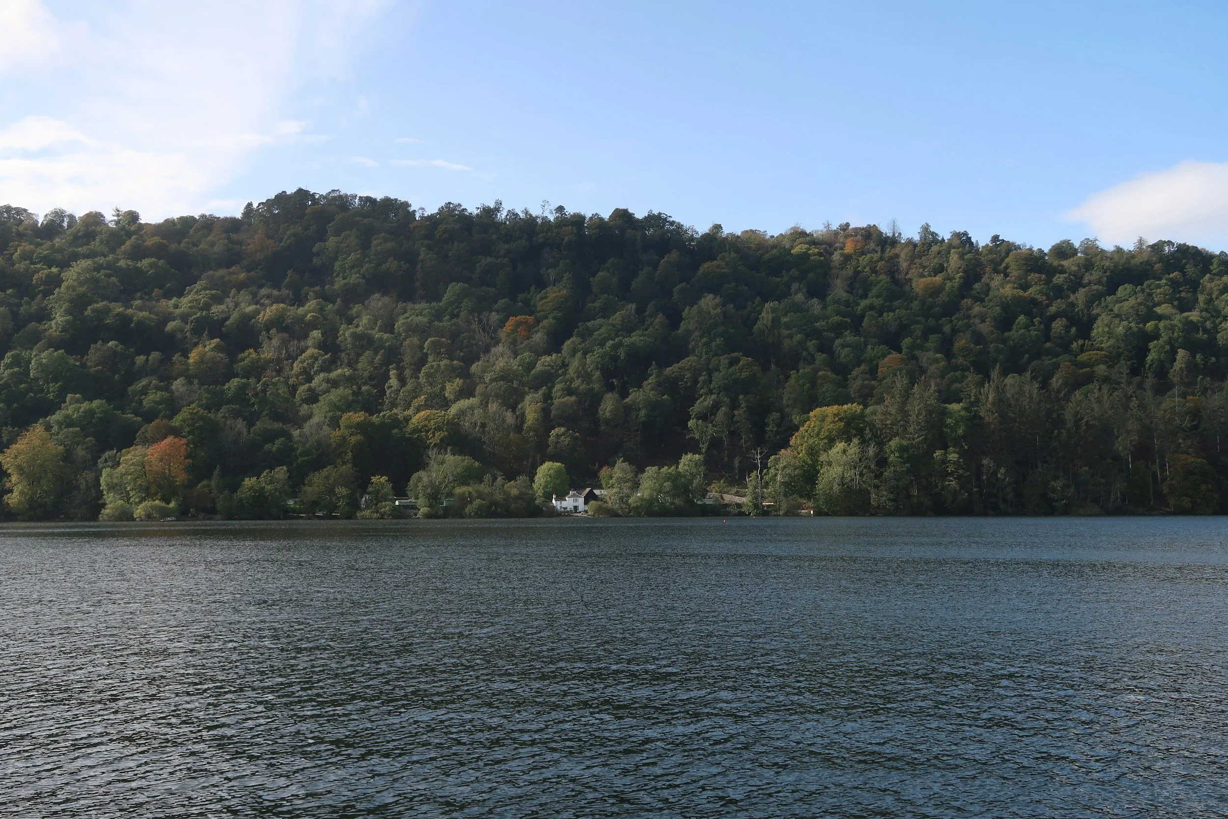 Peaceful waterfront landscape with a forested shoreline.