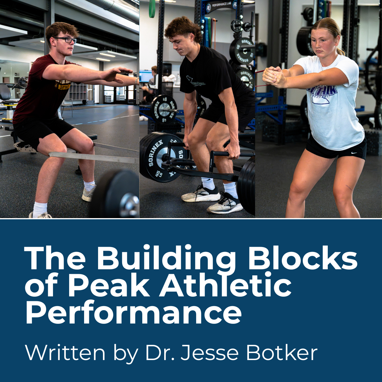 Building Blocks of Peak Athletic Performance.png