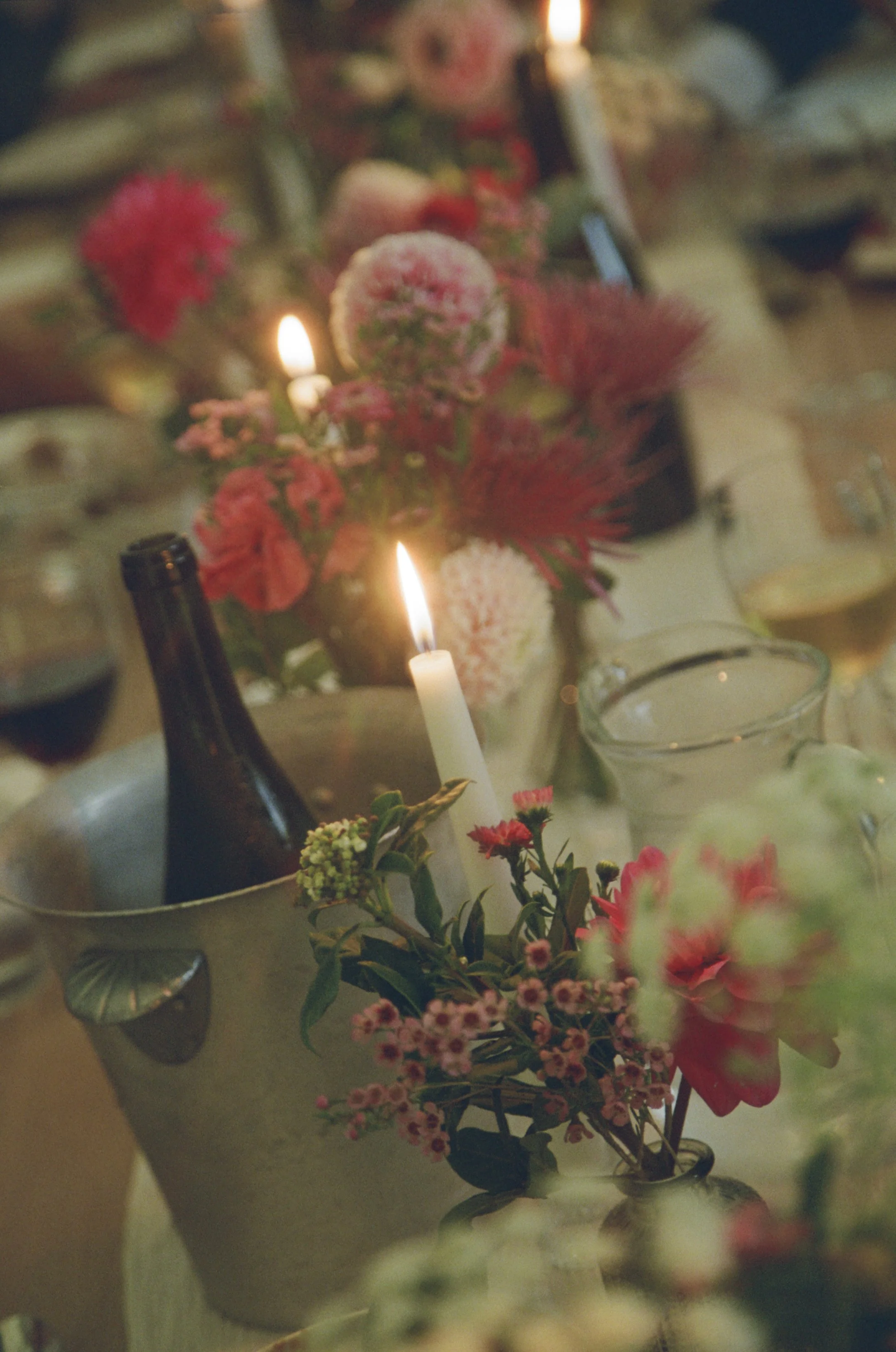 Kylie+TarynWedding_09.06.24_Dinner_Film_034.jpg