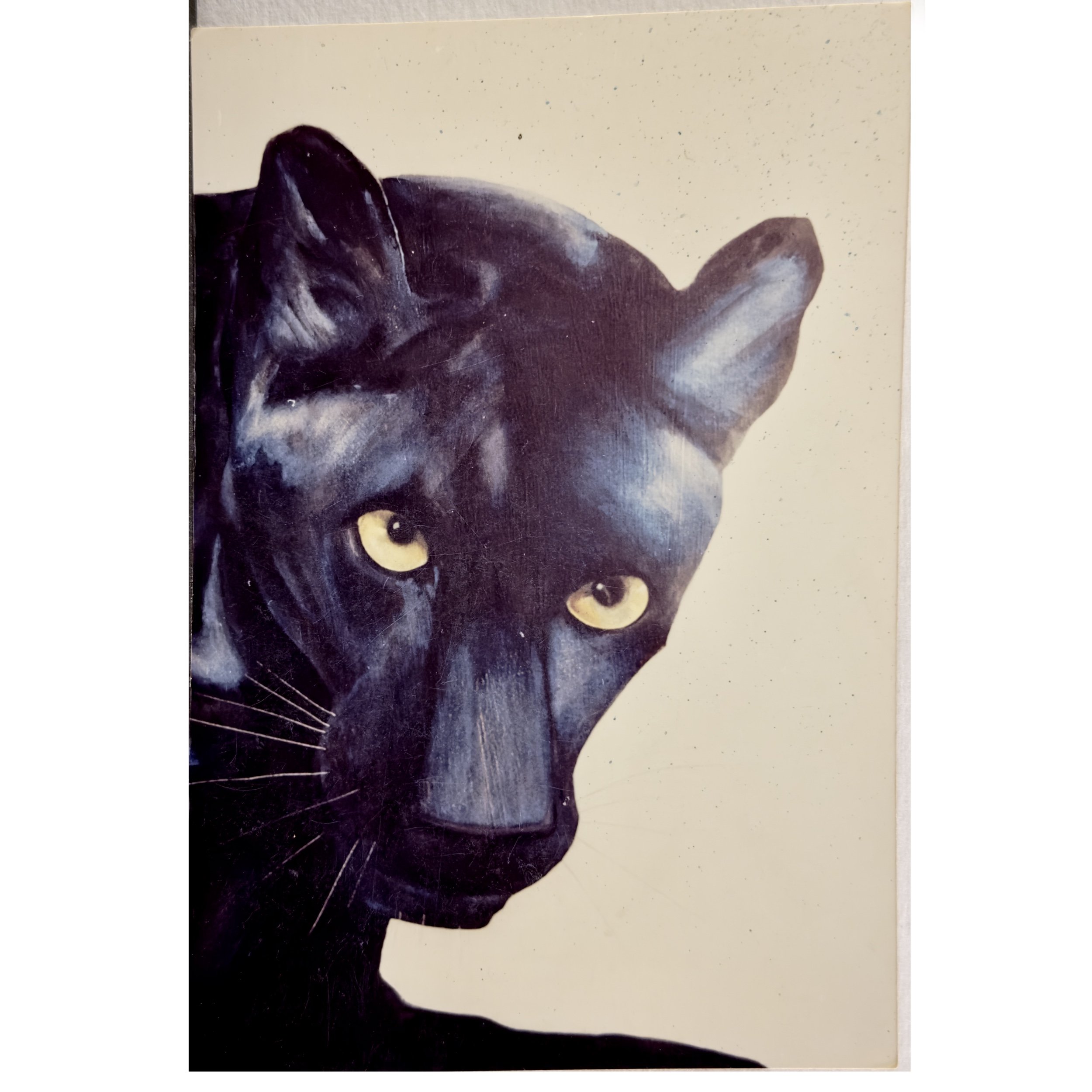Panther