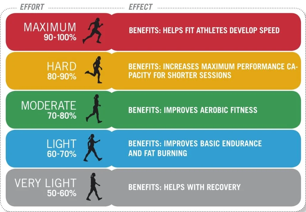 Heart Rate Training Zones: A Practical Guide for Endurance Runners