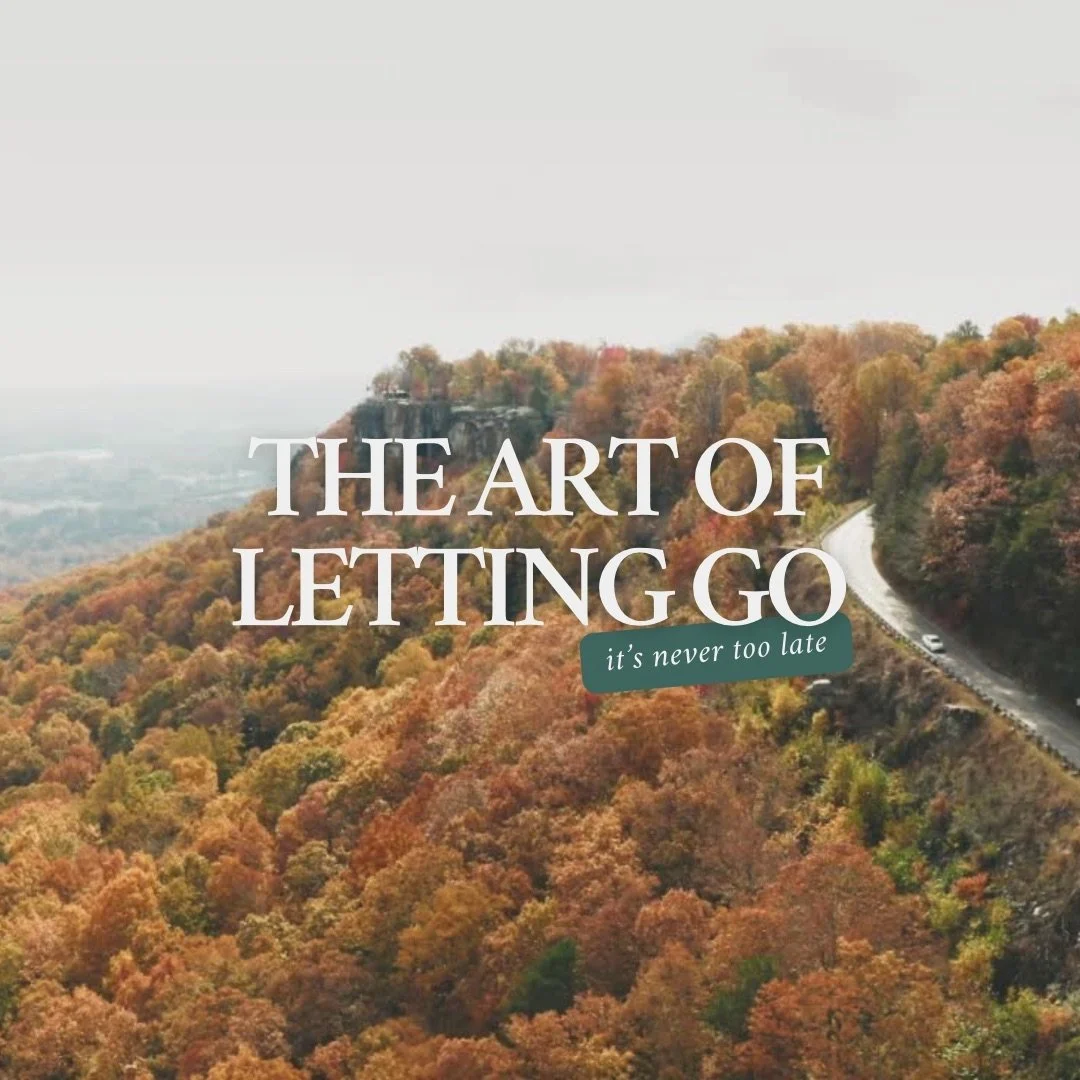 🍂 Let go when holding on no longer serves your growth and happiness.

🍂 Let go when past mistakes and regrets are sabotaging you.

🍂 Let go when the situation or relationship becomes harmful to your well being.

🍂 Let go when circumstances are be