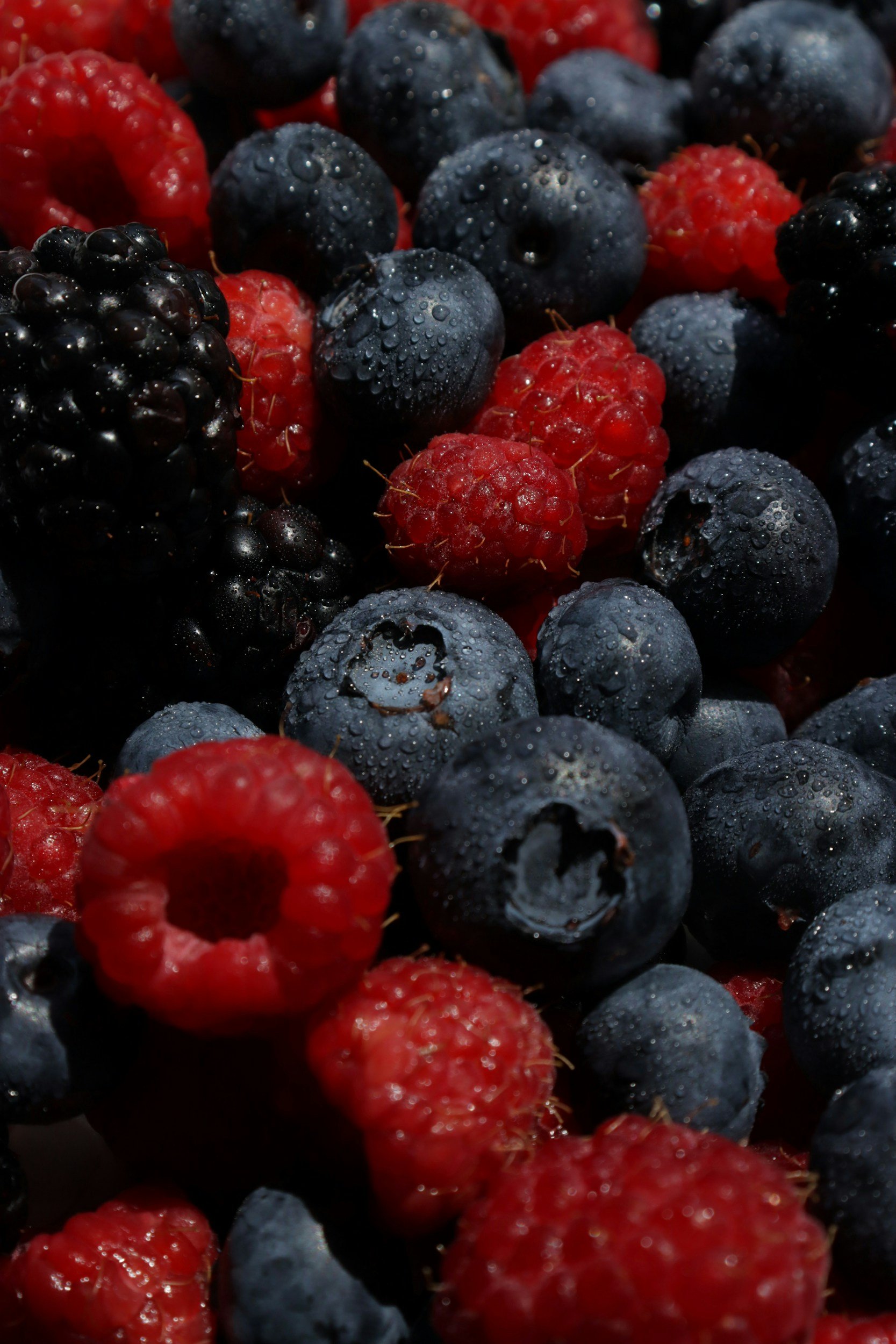 Mixed berries including blueberries, raspberries and strawberries