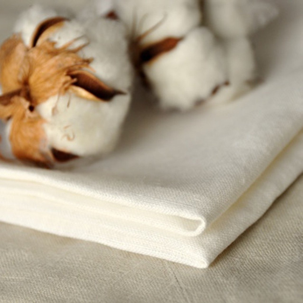 clean_cotton__95717.jpg