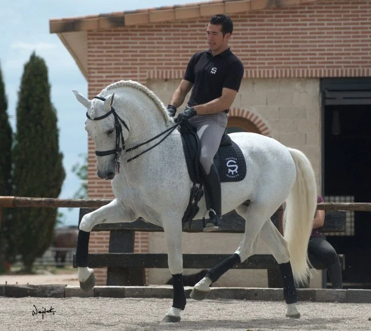Doblon-TR, son of Ermitano III