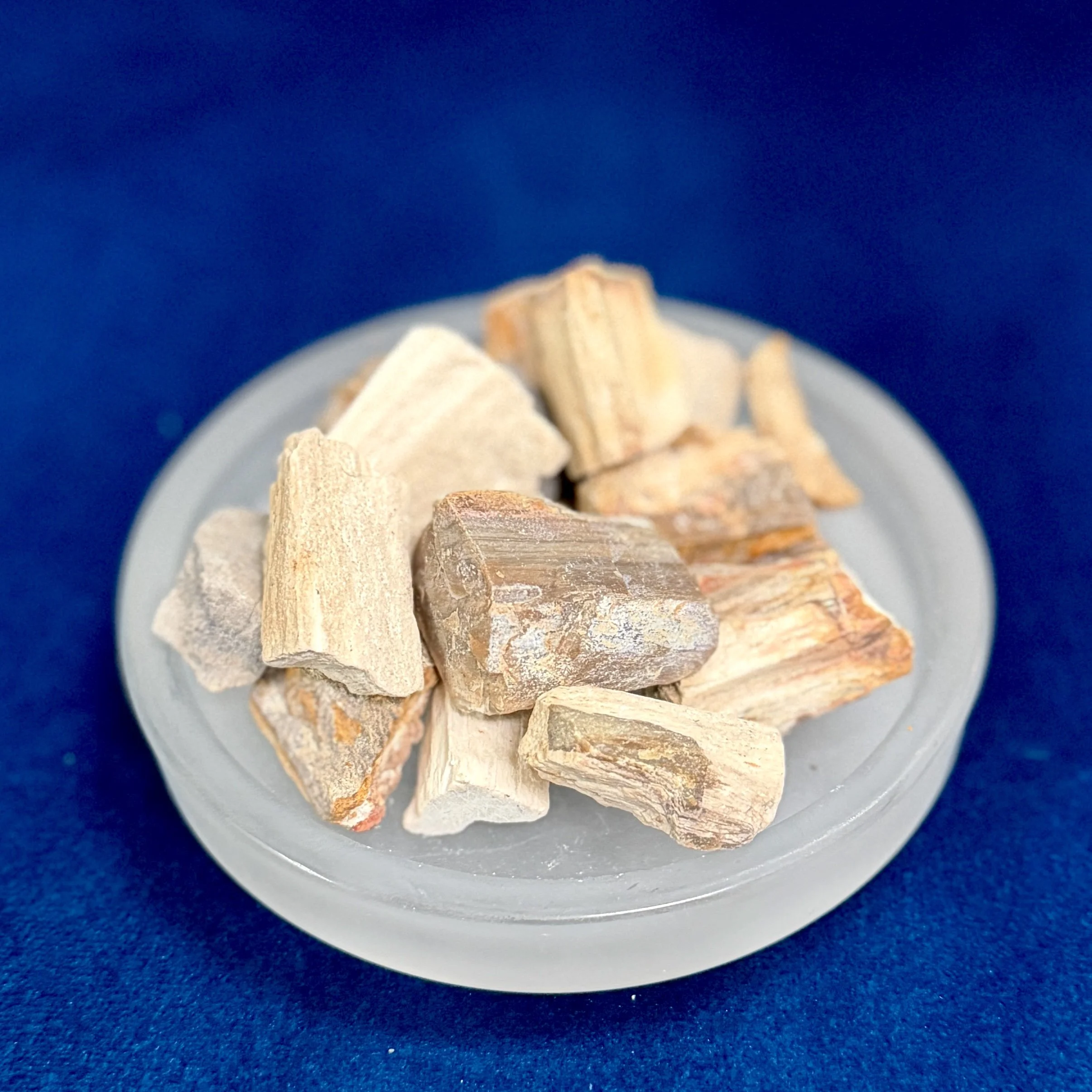 Petrified Wood Raw