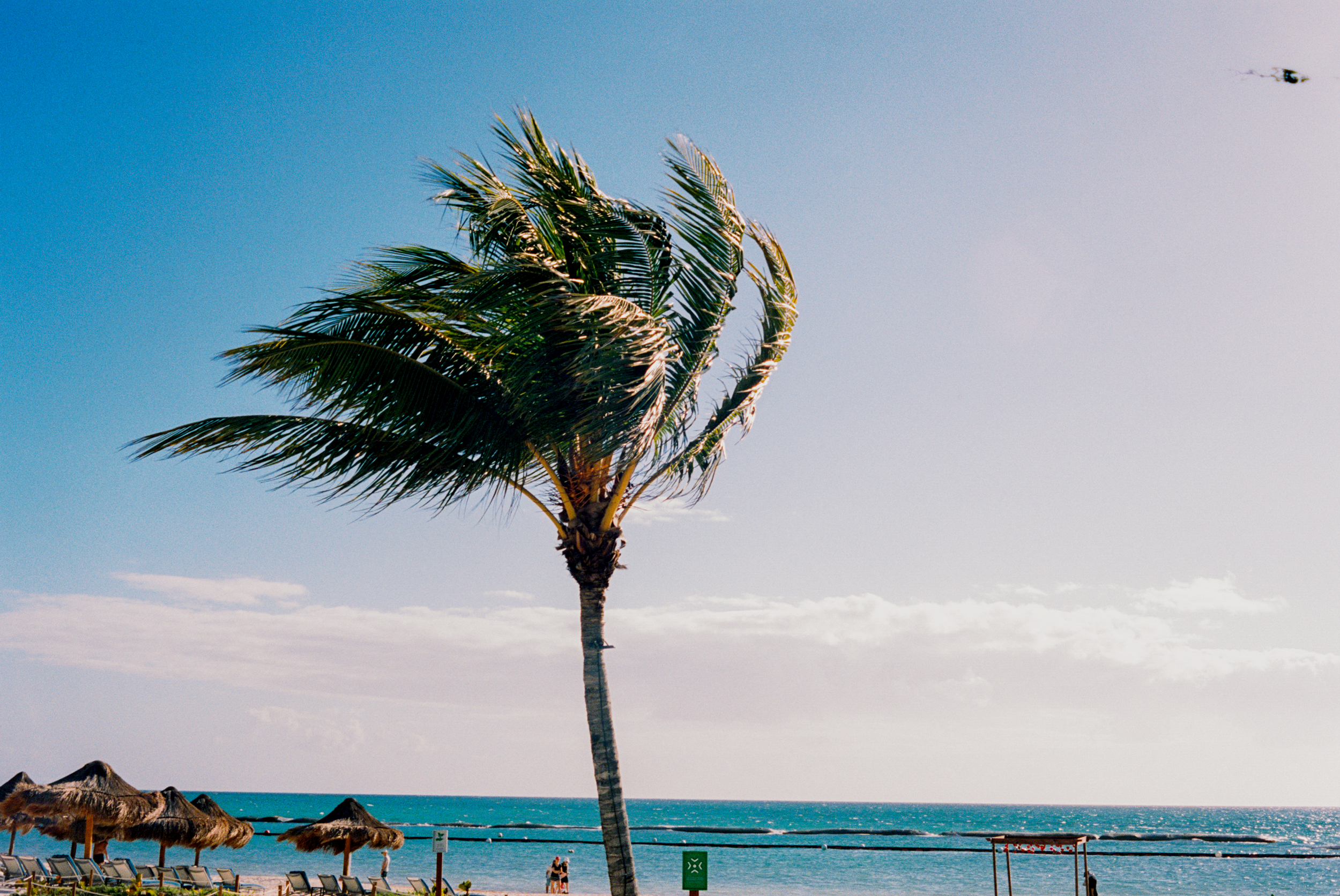 N54469003608-R1-076-36A.png
